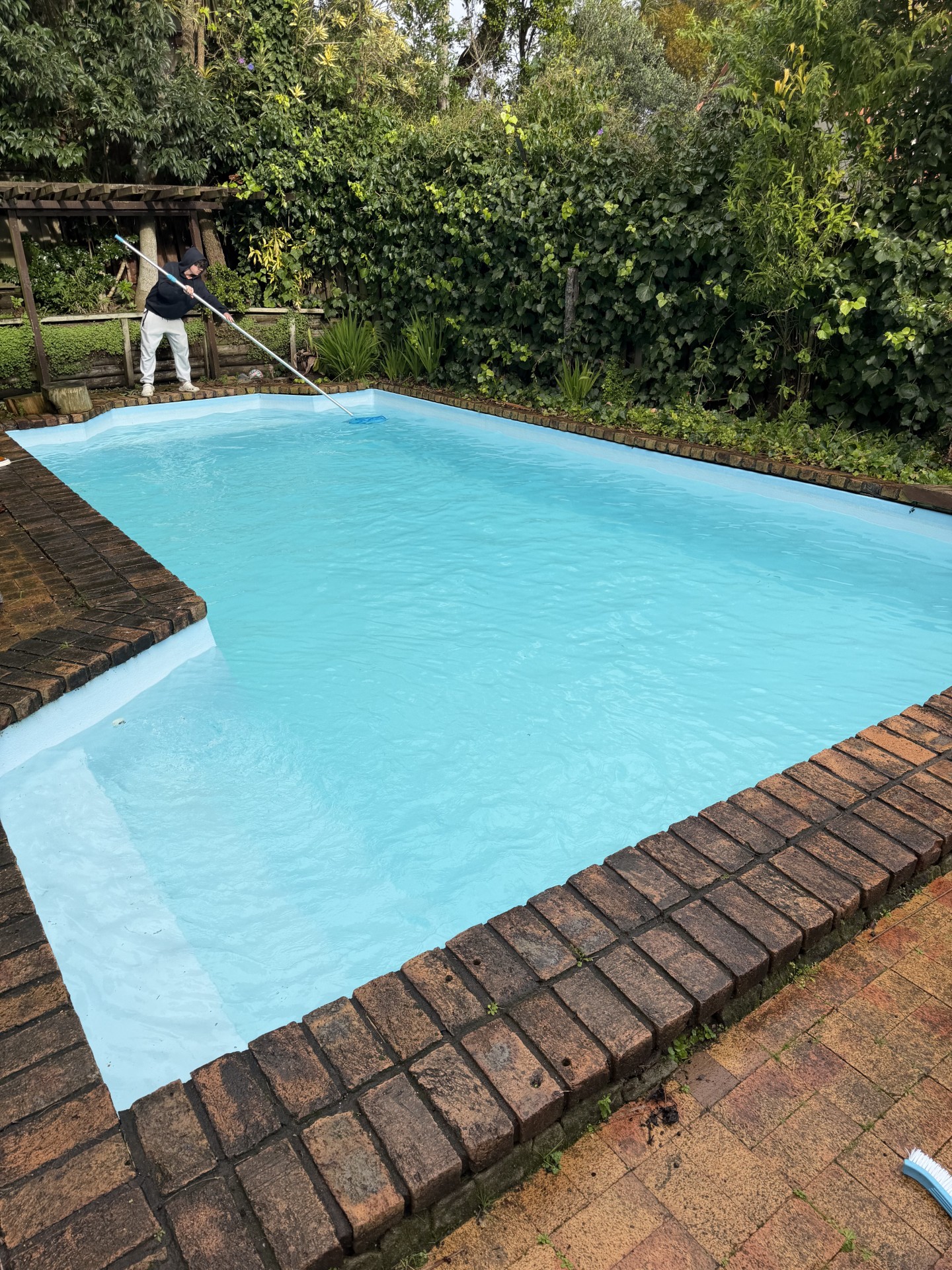 Same swimming pool with crystal clear blue water after Opulent Pool Services' green pool recovery