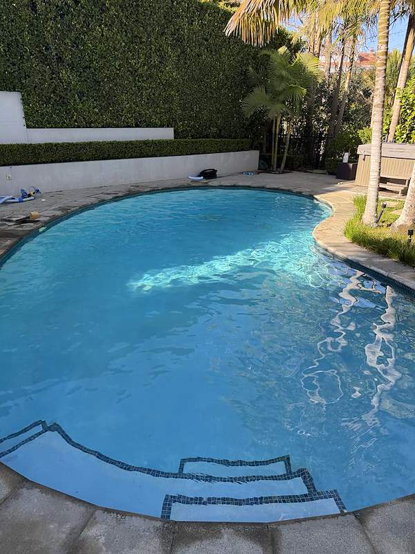 Kidney-shaped pool with tiled steps surrounded by a tall hedge and palm trees